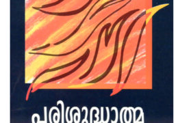 പരിശുദ്ധാത്മാ സ്നാനം